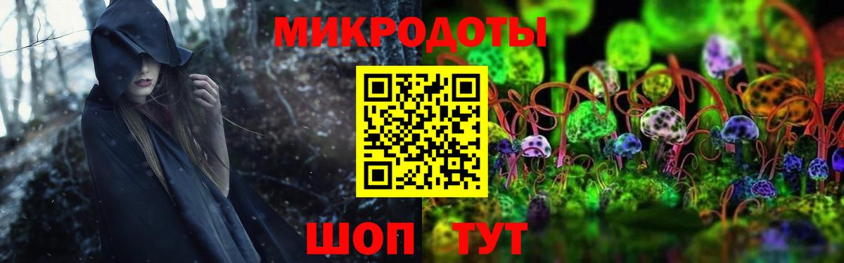 Ростов Великий  Галлюциногенные грибы Psilocybe  Галлюциногенные грибы Magic Shrooms  наркотики  Вход с VPN 